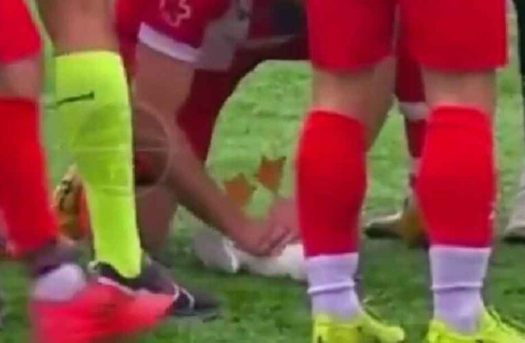 लाइव मैच में पक्षी को लगी गेंद, खिलाड़ी ने दिया CPR, बच गई जान, वीडियो वायरल