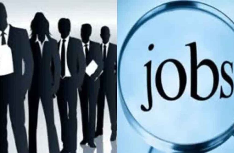 युवाओं के लिए सुनहरा मौका: बड़ी कंपनियों में भर्ती, 6 दिन चलेगा रोजगार मेला