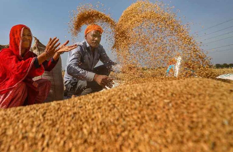 20 हजार से अधिक किसानों ने समर्थन मूल्य पर गेहूँ उपार्जन के लिये कराया पंजीयन : मंत्री राजपूत