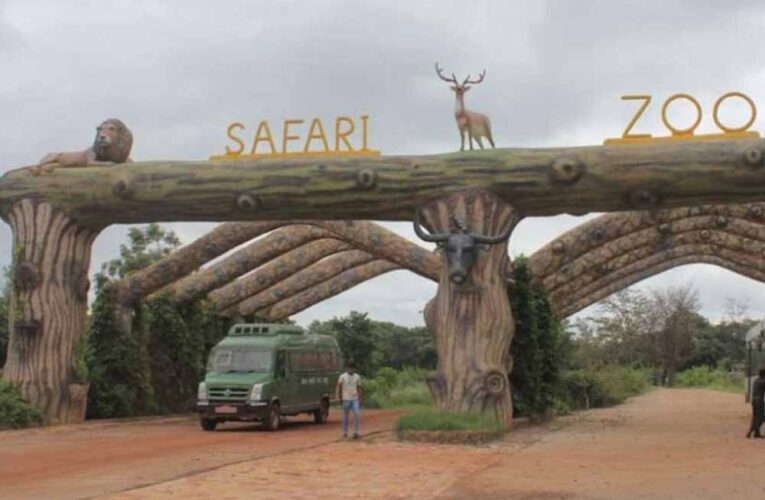 होली पर जंगल सफारी का प्लान बना रहे हैं? 3 मार्च से कुछ दिनों तक पर्यटकों की एंट्री रहेगी बंद