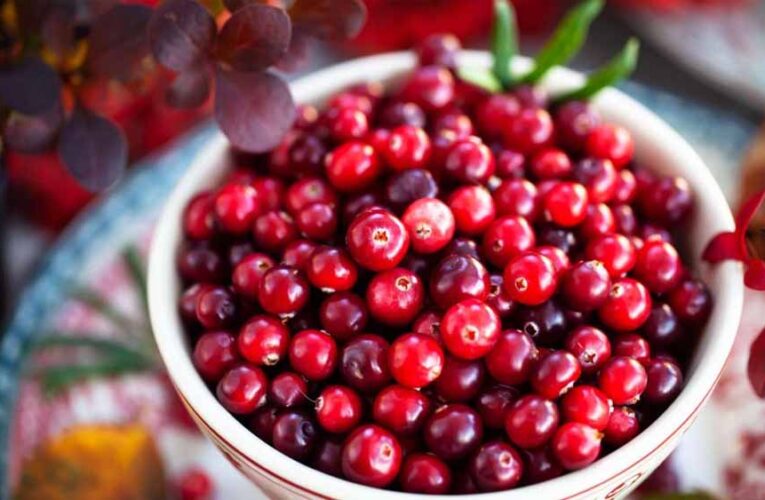 महिलाओं की सेहत का सुपरफूड है क्रैनबेरी, फायदे जानकर चौंक जाएंगे आप
