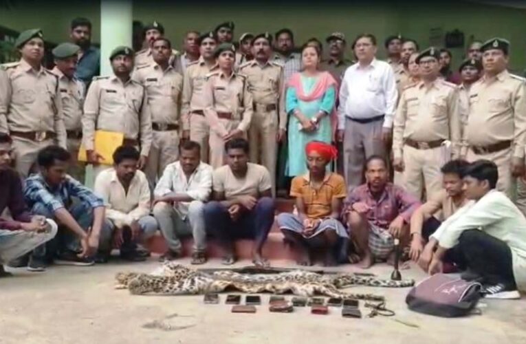 तेंदुए की खाल तस्करी पर वन विभाग का बड़ा एक्शन, 9 आरोपी गिरफ्तार
