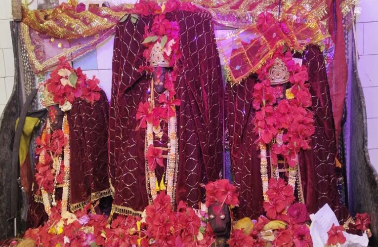 मां बिरासिनी धाम बिलासपुर में मातारानी के दर्शन के लिए दर्शनार्थियों की लगी भीड़