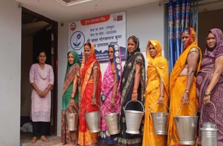 मिल्क प्रोक्योरमेंट से आत्मनिर्भर बनीं प्रदेश की साढ़े तीन लाख महिलाएं