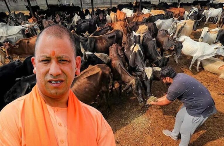 योगी सरकार की ‘नन्दिनी कृषक समृद्धि योजना’ से डेयरी सेक्टर में आ रही नई क्रांति