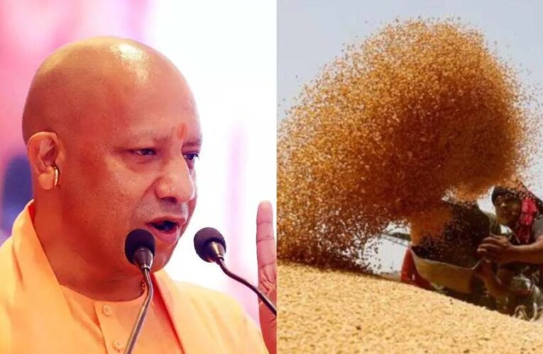 योगी सरकार ने बढ़ाई गेहूं की MSP, 6500 केंद्रों पर कब से शुरू होगी खरीद?