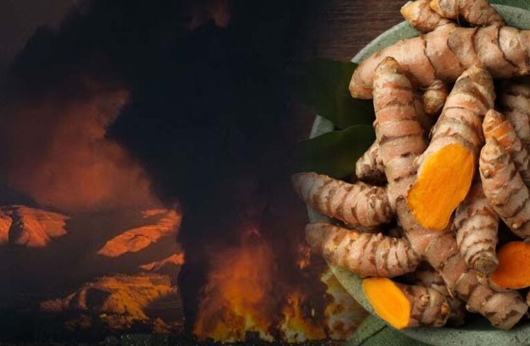 ईरान जंग का असर: हल्दी के दाम ₹3,500 प्रति क्विंटल घटे, किसानों में चिंता