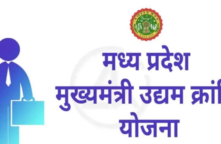 मेहनत और योजना का साथ, कविता दुबे ने खड़ा किया सफल व्यवसाय