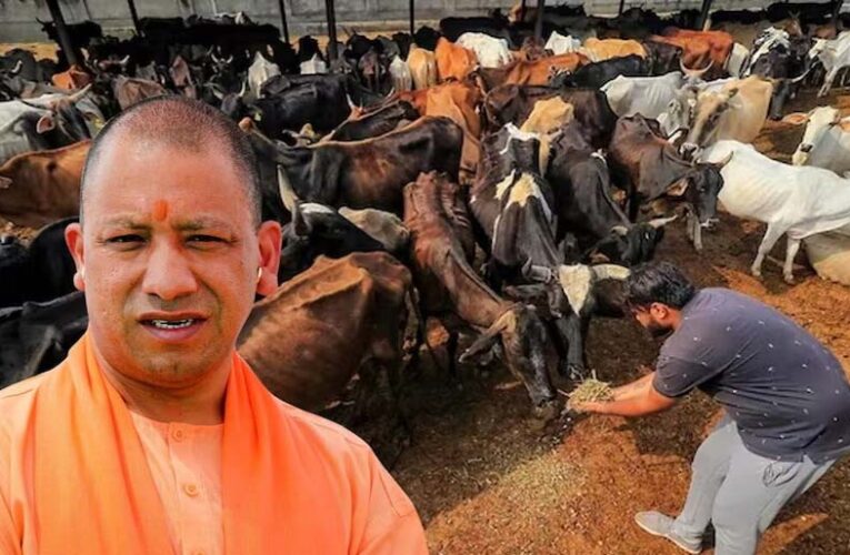 जर्मन टेक्नोलॉजी से लैस होंगी प्रदेश की गोशालाएं