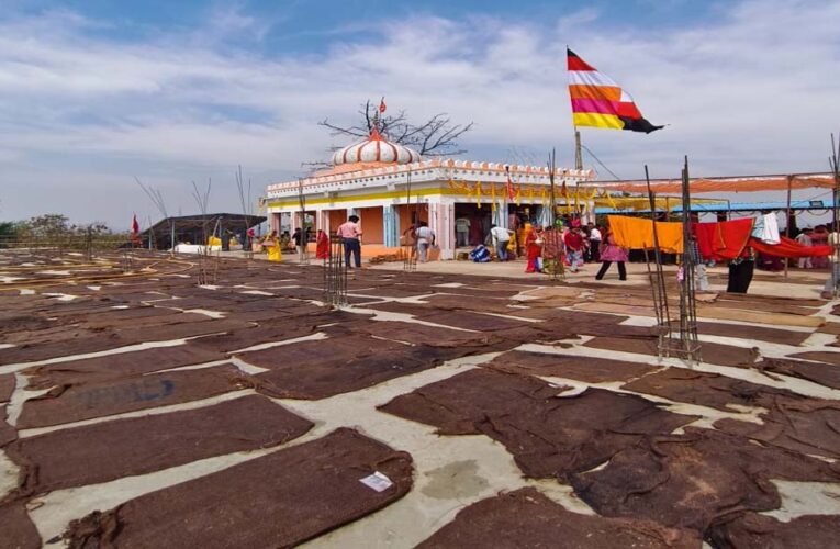 मां बिरासिनी धाम बिलासपुर में चैत्र नवरात्रि के नवमी के दिन श्रद्धा का उमड़ा सैलाब