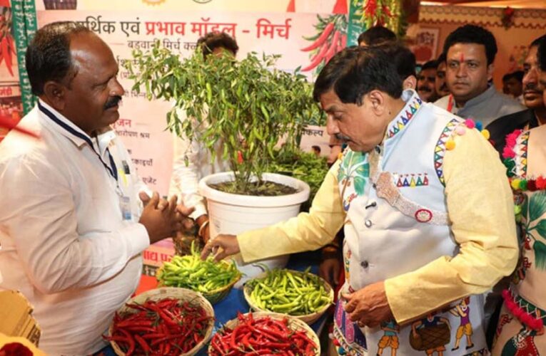 मुख्यमंत्री डॉ. यादव और कैबिनेट मंत्रियों ने निमाड़-मालवा के लोक देवता भीलट देव से सभी की समृद्धि के लिए की कामना