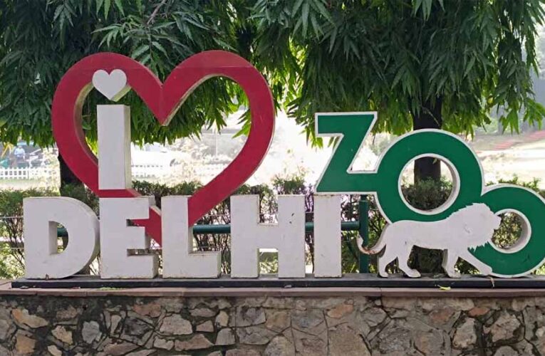 दिल्ली का चिड़ियाघर हुआ हाईटेक, QR कोड स्कैन करते ही मिलेगी जानवरों की पूरी जानकारी