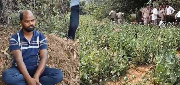 रायगढ़ में अफीम की अवैध खेती का भंडाफोड़, झारखंड का आरोपी पुलिस हिरासत में