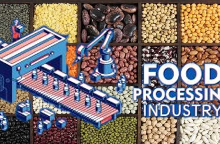 MP में किसान शुरू कर सकते हैं दाल प्रसंस्करण व पैकेजिंग इकाई, 25 लाख के लोन पर मिलेगी 33% सब्सिडी