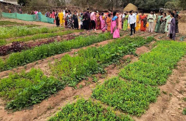 बस्तर के नवाचार देख उत्साहित हुईं बिलासपुर की दीदियाँ