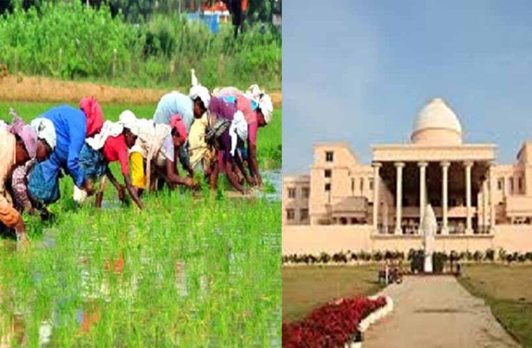 16 लाख किसानों ने किया रकबा समर्पण, विधानसभा में मंत्री बघेल ने दी जानकारी