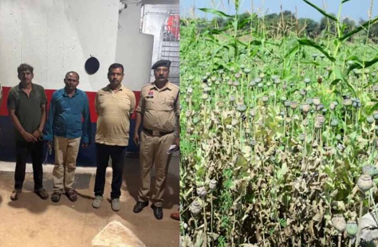 अफीम की खेती वाले नेता के मामले में खुलाशा, शमशान जाने की भी ‘दाऊजी’ से परमिशन