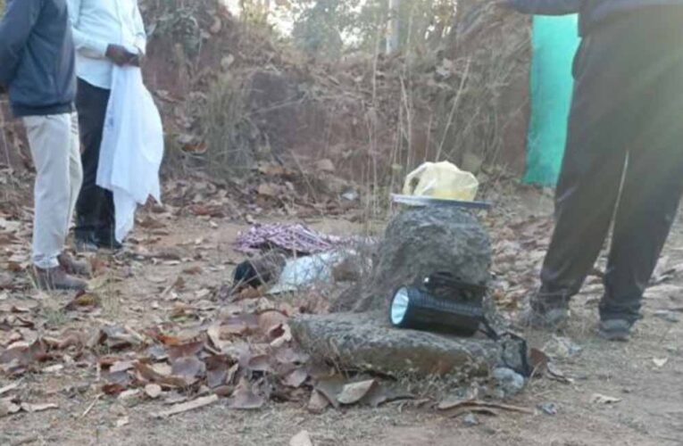 कोरबा में हाथी ने मंडी प्रभारी पर हमला कर उतारा मौत के घाट, पत्नी ने भागकर बचाई जान