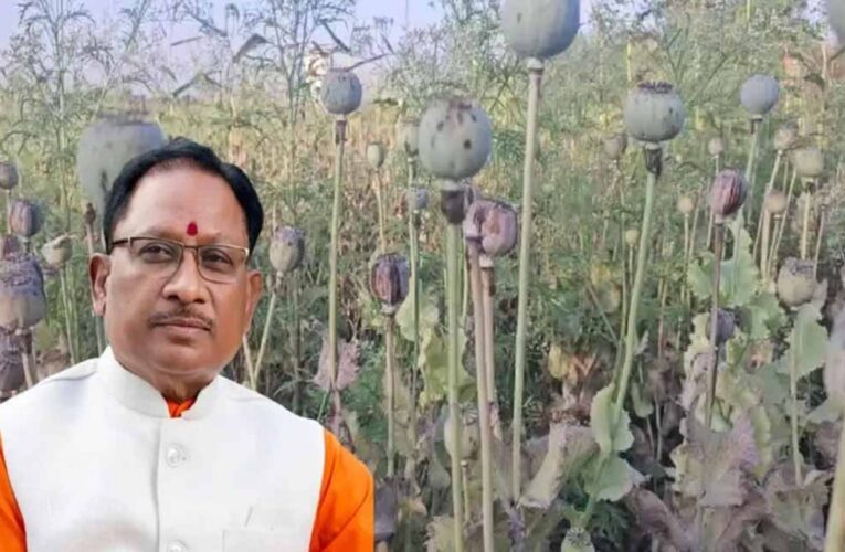 अफीम खेती पर CM साय का सख्त ऐक्शन प्लान, बोले- नक्सलियों और रसूखदारों को नहीं मिलेगी राहत