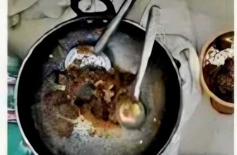 बिलासपुर जंगल रिसॉर्ट में छापा: हिरण का मांस पकाते मैनेजर समेत 4 गिरफ्तार