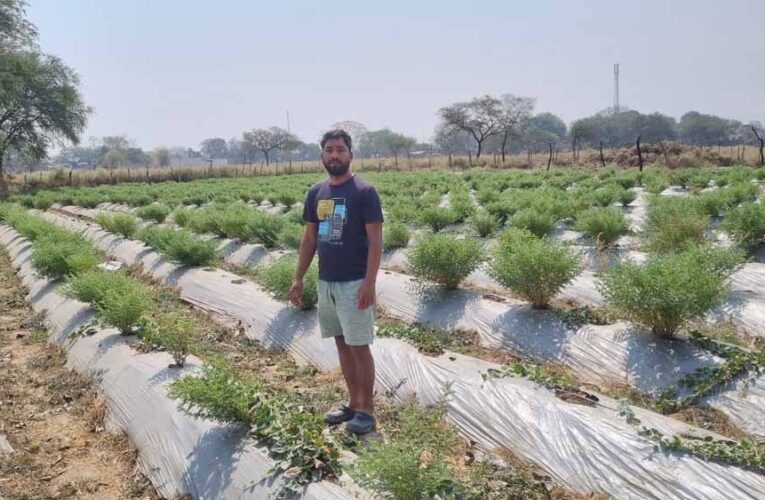 रासायनिक उर्वरकों का कम उपयोग और प्राकृतिक व जैविक खेती को कर रहें प्रोत्साहित