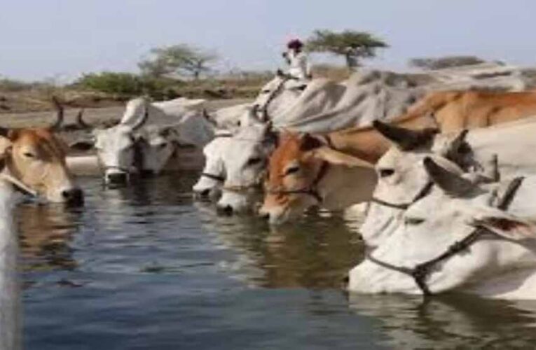 ‘गो संरक्षण मिशन’ में शामिल होंगी ग्रामीण महिलाएं और किसान उत्पादक संगठन