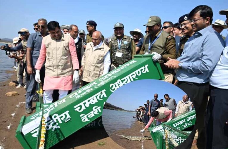 चीतों के बाद कूनो में घड़ियालों की एंट्री, सीएम ने 53 को चंबल से लाकर बसाया