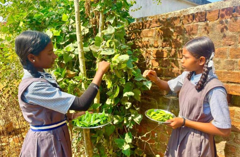विद्यालय की बगिया से बच्चों की थाली तक पहुँच रहा ताजा और पौष्टिक आहार