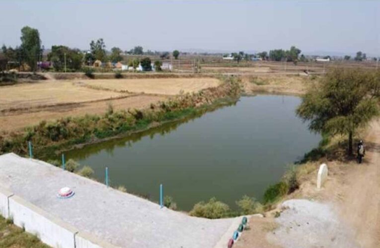 अमृत सरोवर से रिझोरा में लौटी हरियाली और खुशहाली