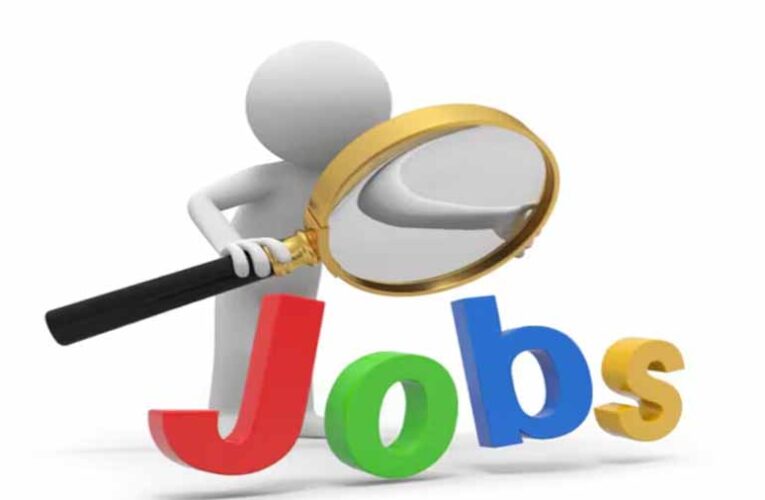 बड़ी सरकारी भर्ती 2026: 1500+ पदों पर सीधी नियुक्ति, आवेदन प्रक्रिया शुरू—योग्यता और सैलरी की पूरी जानकारी