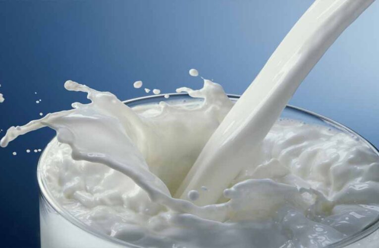 हौसले और मेहनत से पूजा ने रचा सफलता का नया अध्याय, 80 लाख का वार्षिक कारोबार