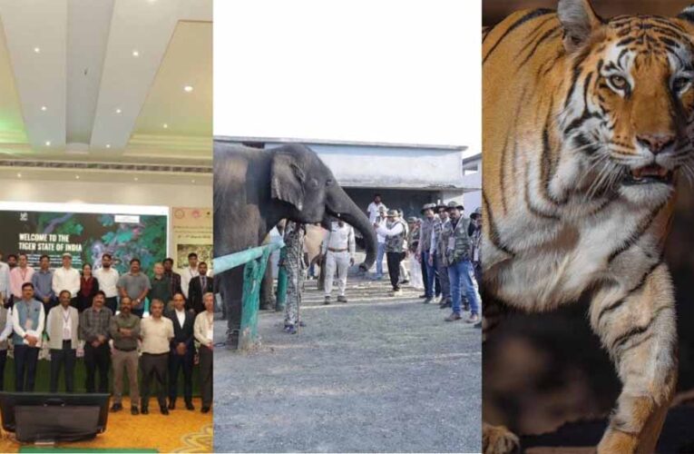 पन्ना में MP का पहला वन्यजीव-केंद्रित CSR कॉन्क्लेव, संरक्षण के लिए वन विभाग-उद्योग जगत साथ आए