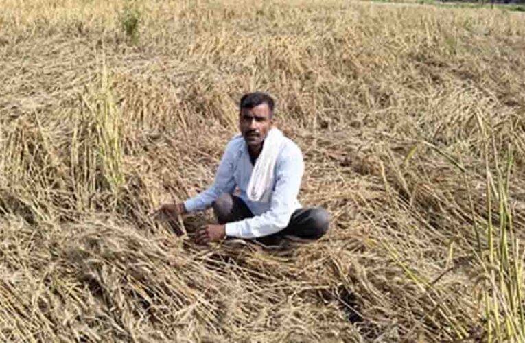 यूपी में थमेगा मौसम का मिजाज, अब तीखी धूप और गर्म हवाओं के साथ 10 डिग्री तक बढ़ेगा पारा और गर्मी ढाएगी कहर