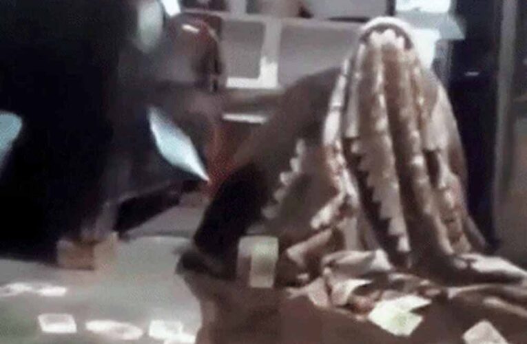 तंत्र-मंत्र से पैसे दोगुना करने का झांसा, 4.35 लाख की ठगी का भंडाफोड़