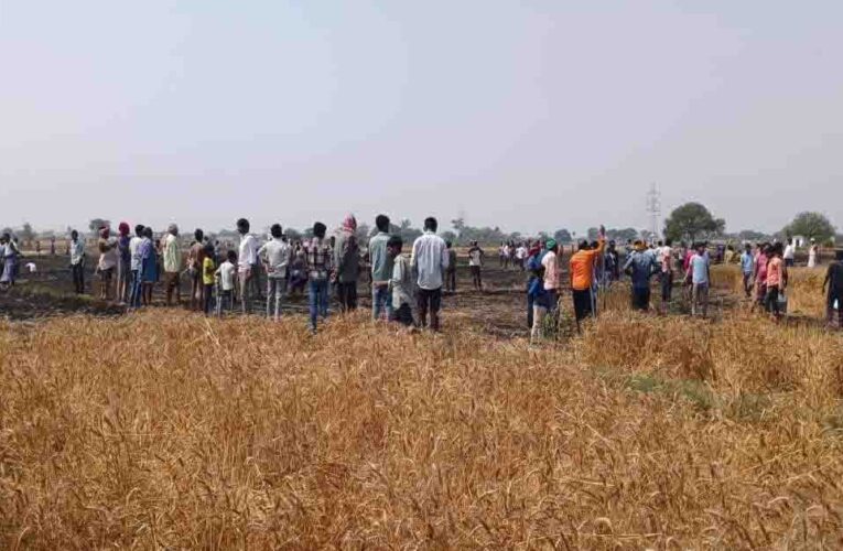 चंदौली में गेहूं की फसल पर आग का तांडव, 10 बीघा से अधिक खेत जलकर राख