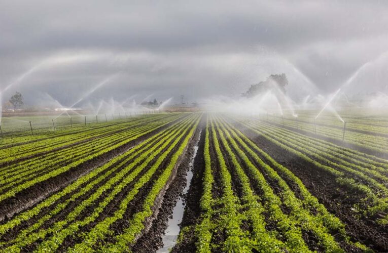 रायपुर : दो सिंचाई योजना के लिए 6.12 करोड़ रुपये स्वीकृत