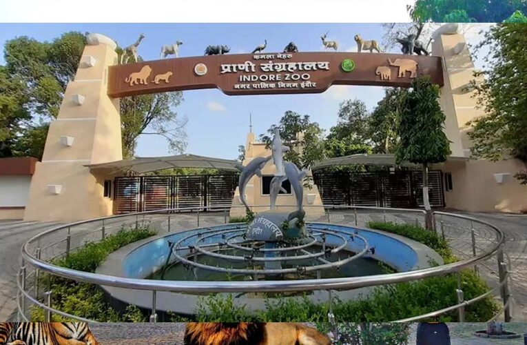 इंदौर चिड़ियाघर में बनेगी अंडर वॉटर टनल, दुबई और सिंगापुर की तर्ज पर 35 करोड़ का मॉडल
