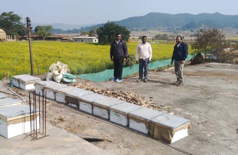 रायपुर : मधुमक्खी पालन: कम लागत में ज्यादा मुनाफे का बेहतर विकल्प