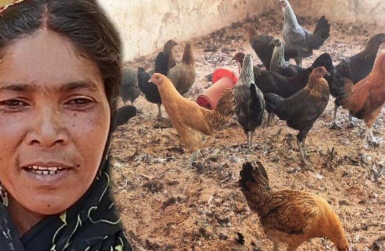 गौठान से बदली तस्वीर: धोवाताल बना आत्मनिर्भर मॉडल गांव, पलायन पर लगी रोक