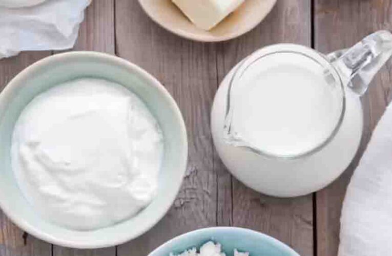 घर पर मलाईदार दही जमाने के आसान टिप्स, जानें एक्सपर्ट ट्रिक्स