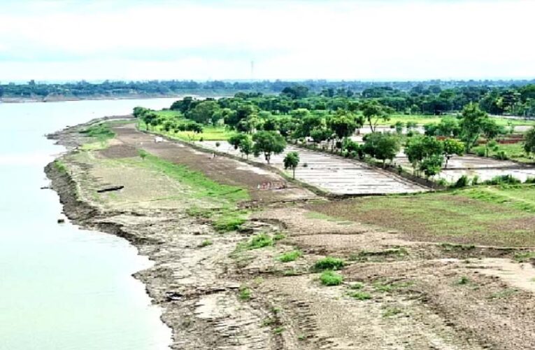 गंगा के किनारे 26 जिलों में ऑर्गेनिक क्लस्टर से बदल रही यूपी की तस्वीर