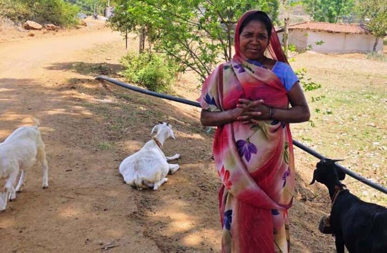 रायपुर : महतारी वंदन योजना से संवर रही पहाड़ी कोरवा परिवारों की तकदीर