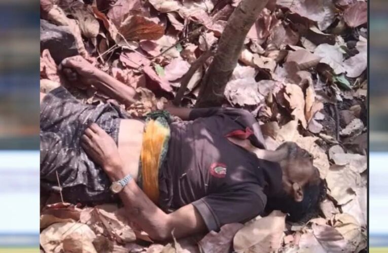 जंगल की खामोशी में गूंजी चीख: महुआ बीनने गए ग्रामीण की हाथी हमले में दर्दनाक मौत