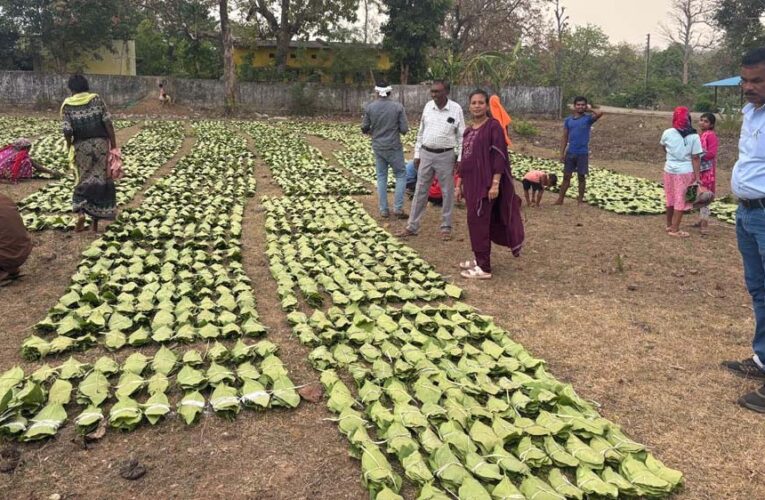 हरा सोना संग्राहकों की आय बढ़ाने के लिए बड़ा कदम, 920 करोड़ रुपए का होगा संभावित भुगतान