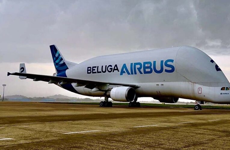 रीवा में उतरेंगे एयरबस जैसे बड़े विमान, रनवे को 2300 मीटर करने के लिए जमीन का होगा अधिग्रहण, 340 करोड़ मुआवजा मिलेगा