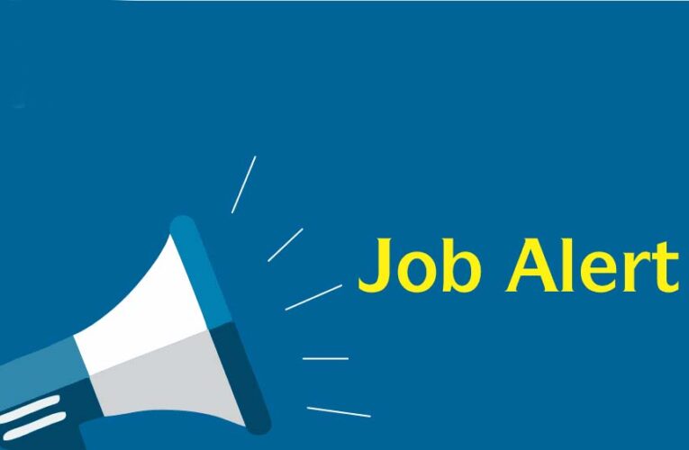 बैंक जॉब अलर्ट: पीएनबी में 30 ऑफिसर पदों के लिए आवेदन शुरू, 5 मई तक है मौका