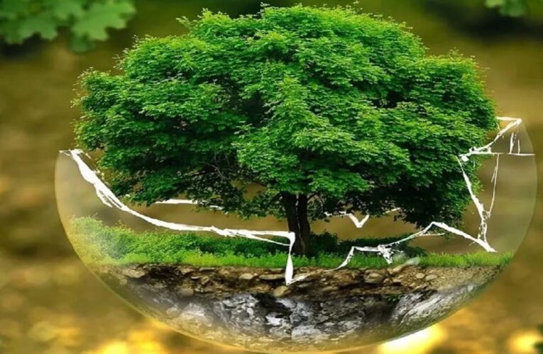 विश्व पृथ्वी दिवस पर INTACH की राष्ट्रीय पोस्टर प्रतियोगिता आयोजित