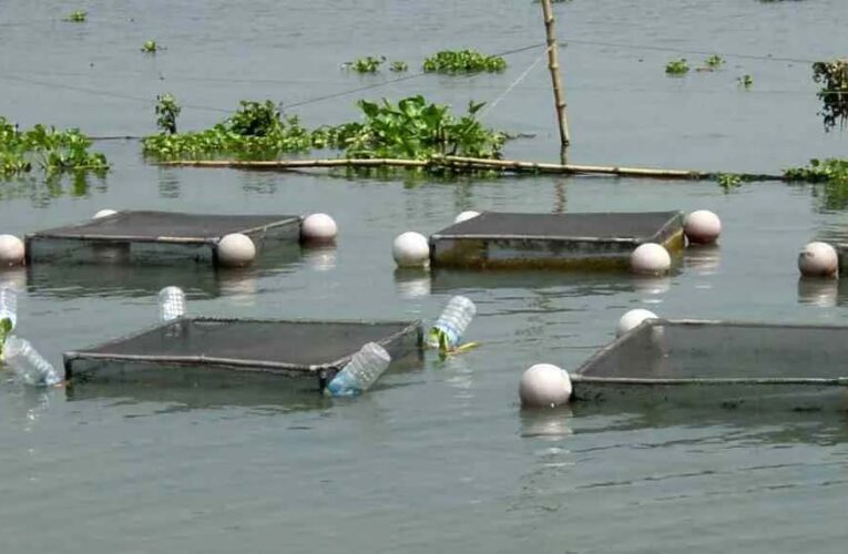 अम्बिकापुर : मत्स्य पालन हेतु जलाशयों का 10 वर्षीय लीज आबंटन के लिए आवेदन आमंत्रित