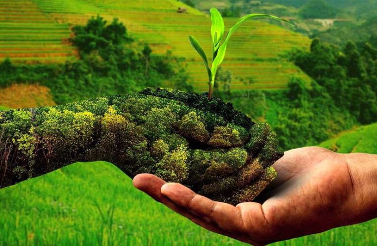 प्राकृतिक खेती से बेहतर आय अर्जित कर रहे 2.60 लाख किसान