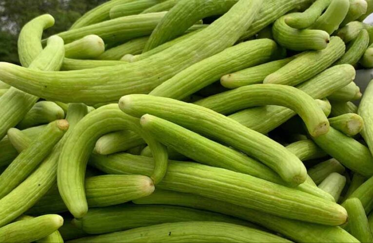 गर्मी में ककड़ी खाने के फायदे, शरीर को रखे ठंडा और हाइड्रेटेड